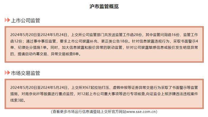 涨超10倍牛股正丹股份，被交易所重点监控