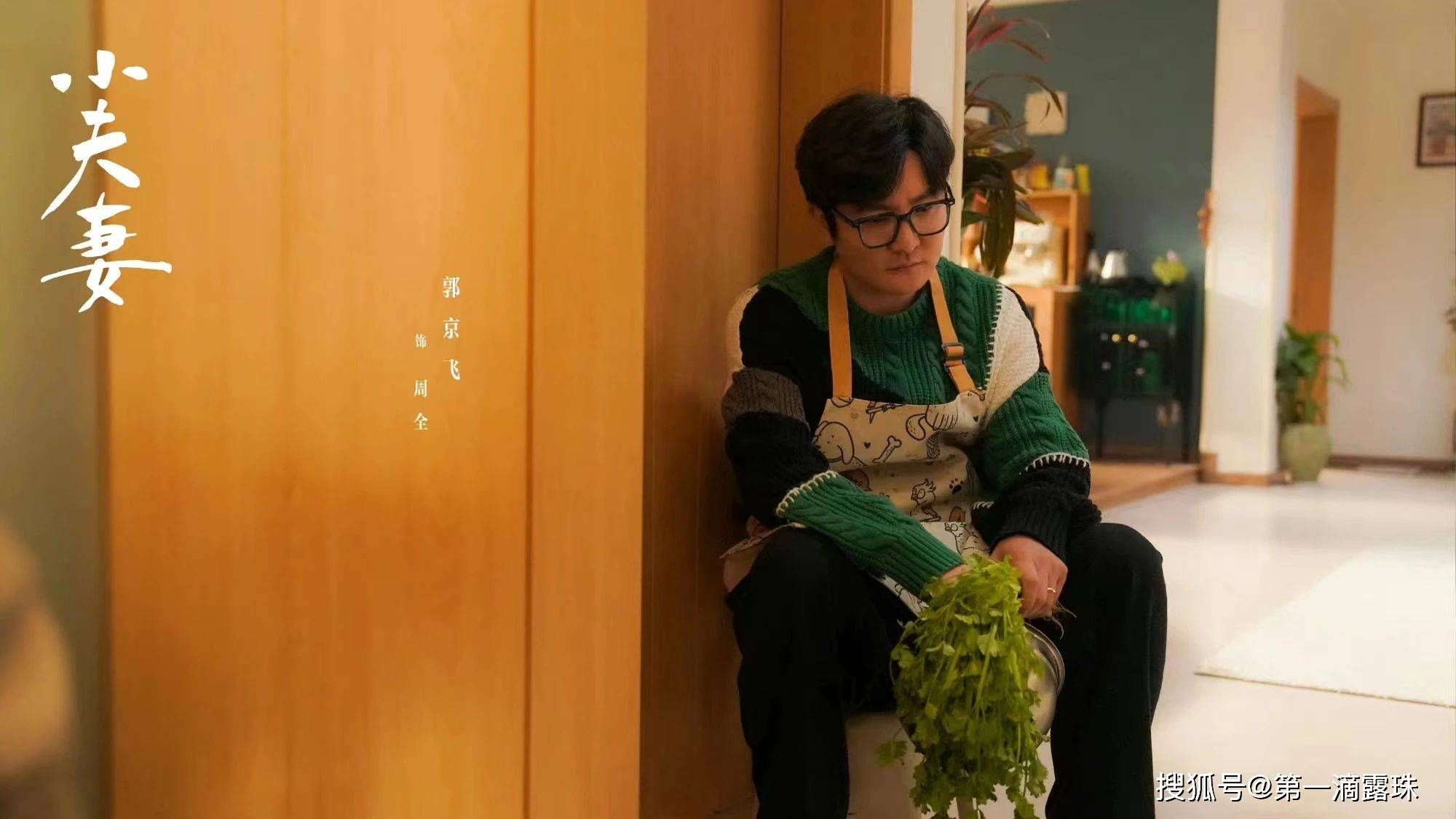 殷桃郭京飞《小夫妻》：周全良币被劣币驱逐内情解析！车莉帮助丈夫创业成功