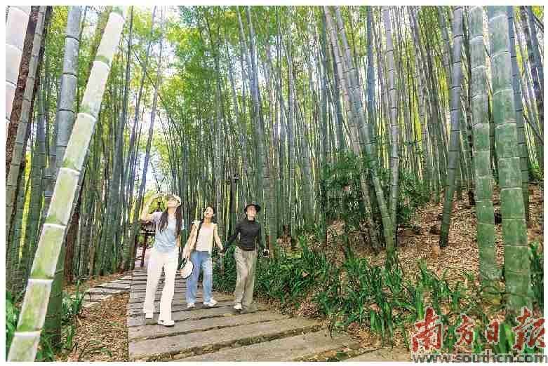 新雁南飞 以“客”留客