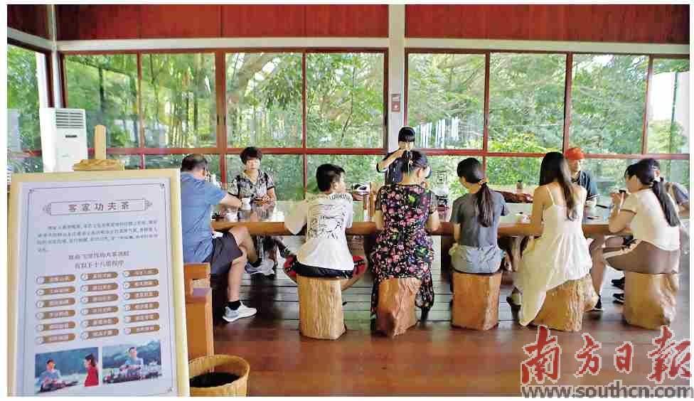 新雁南飞 以“客”留客