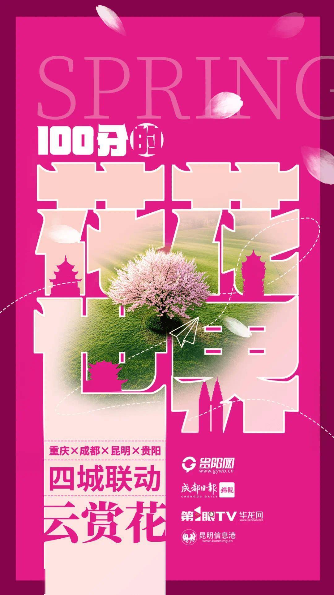 今日启动！重庆x成都x昆明x贵阳四城联动 “云赏花”，9点直击重庆“花花世界”！